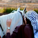 Al Mah Al - Facebook
