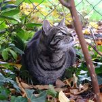 @alma_iere - Instagram