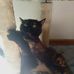 Alexander Majewski - Facebook