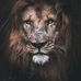 Al-Majko Majko - Facebook