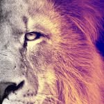Almajor " - @almajor_ - Instagram