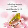 Alma Libre - @alma.libre375 - TikTok
