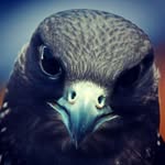 (*_*)bofa (*_*) - @almance.almance - Instagram