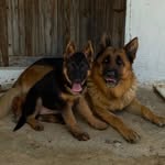 @almancobankopegi61 - Instagram