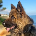 @almancobankurtrekx - Instagram