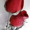 halima⁸ - @alman.co - TikTok
