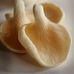 Al-Mann Mushrooms - Facebook
