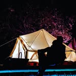 ALMAR - @almar.camp - Instagram