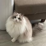 @almarlin37 - Instagram