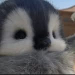 Damian Perz - @almarlin692531 - Instagram