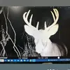 almarrero276 - @almarrero276 - TikTok