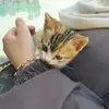Al maSsa - @souma06010 - TikTok