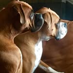 Al Masters - @bigalmasters - Instagram