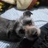 Alma - @almamata900 - TikTok
