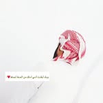 Ayman - @al.matani - Instagram