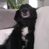 user3212048595610 - @almathieu - TikTok