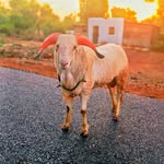ALMATTI ROCKY {BASHEER} Sachin. - @almatti_rocky_2025 - Instagram