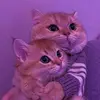 dahouk almatt - @dahouk.almatt - TikTok