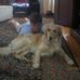 Matt Al - Facebook