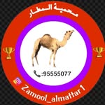 زمـــول مــحــمــيـة الـمـطــار 🐪🏆 - @zamoul_almattar1 - Instagram