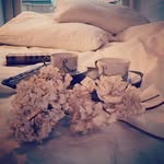 Dimora Almayer - @dimora_almayer - Instagram