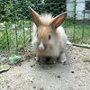 alma.yes - @alma.yes - TikTok