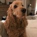 Al Mayhew - Facebook