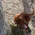 Al McCann - @bigcreekal - Instagram