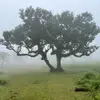 Alyssa - @al.mccarty - TikTok