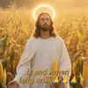 krystalmcconnell.783042 - @krystalmcconnell.783042 - TikTok