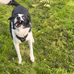 Alfie Mcdermott - Facebook