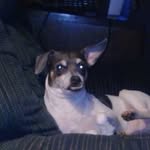 Al Mcdowell - @al.mcdowell.3 - Instagram