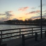 Albee - @albee.mcinnes - Instagram