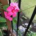E Alice McInnes - Facebook