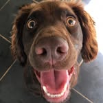 Albus Mears - @albusmears - Instagram