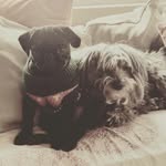 Ann Melvin - @almelvin50 - Instagram