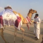 @aly_almerry2 - Instagram