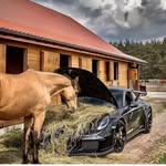 aziz - @a_almertz - Instagram