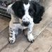 Al Middleton-Cox - Facebook