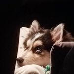 Bienvenidos al mundo de Milan 🌏💫 - @milanpomsky1 - Instagram