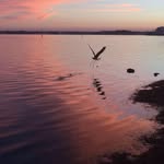 Al Minter - @al.minter.5 - Instagram