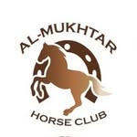 Horse_club - @almokhtar_horseclub - Instagram