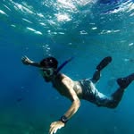 Almonks - @alvin.nd.dmonks - Instagram