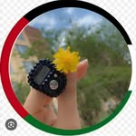 وٰ٘آﺻۧية اَࢦـࢪڛُوٰ٘ࢦ ﷺ - @al_monta9iba__17 - Instagram