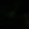 Almook _55 - @almook_55 - TikTok