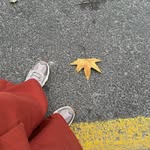 Almoon Alhousni - @al_moon_ - Instagram