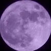 al.moon.ex - @al.moon.ex - TikTok