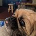 Alan Mooney - Facebook