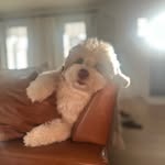 Ashley - @_almorgan_ - Instagram