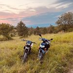 Almos - @almos.ca - Instagram